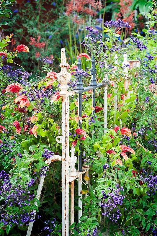 Springsummer Clair Strong Interior Design