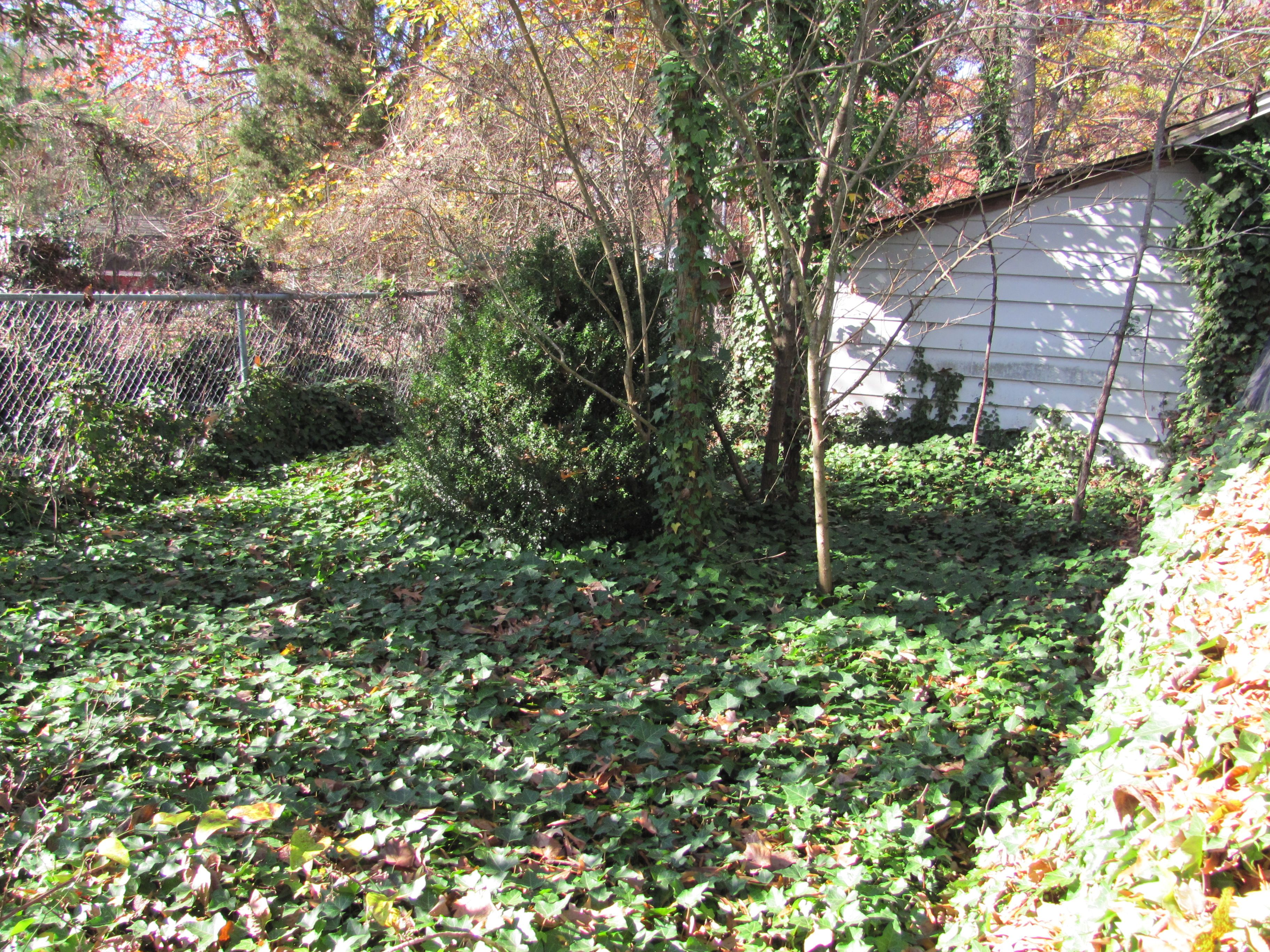 Manor Garden Overgrown Google Search Manor Garden Overgrown Garden