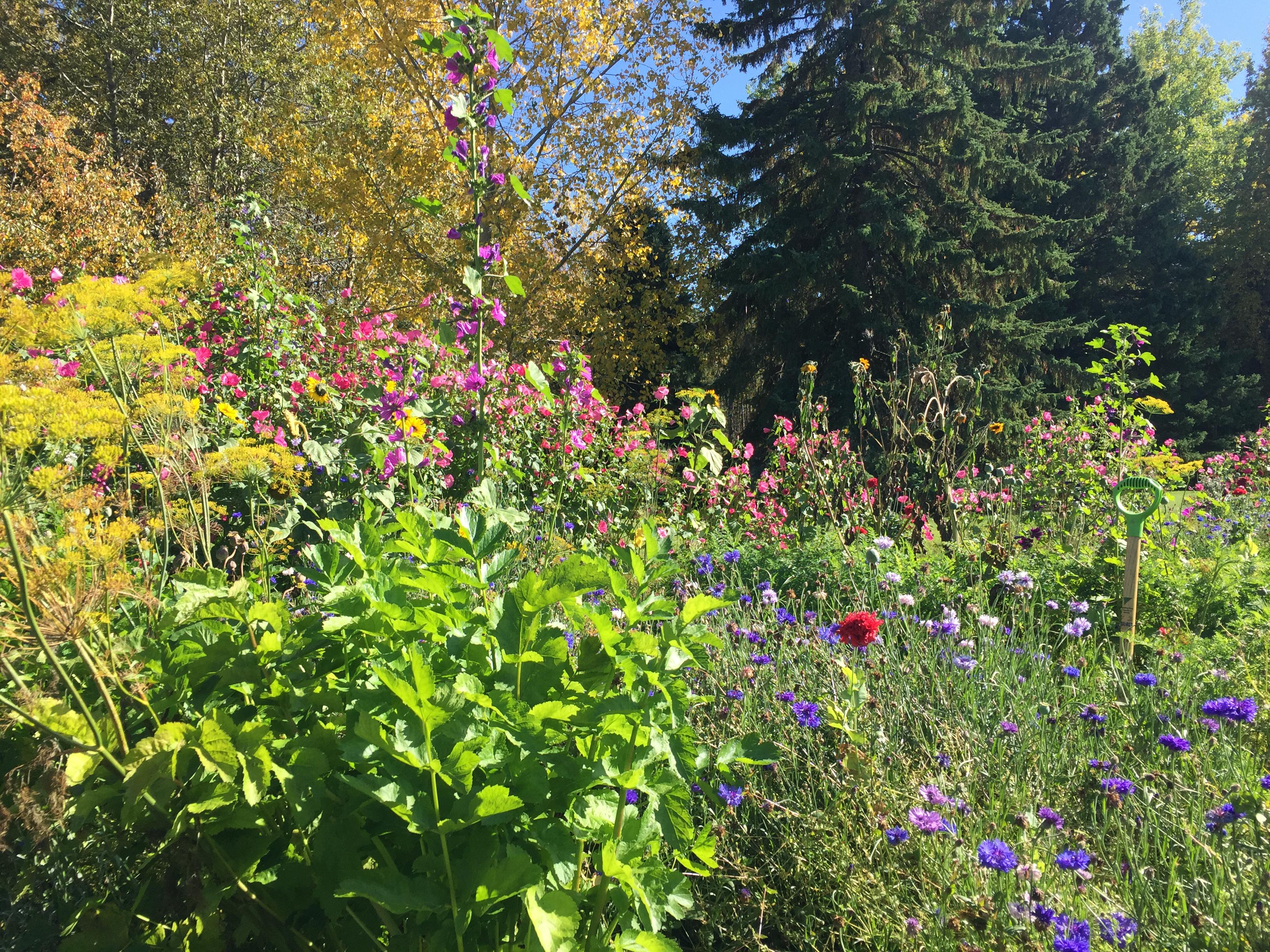 Oldfashioned Gardens Streetsofsalem