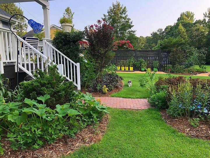 Back Garden Ideas