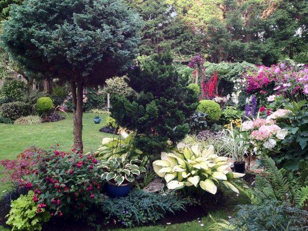 Backyard Garden View