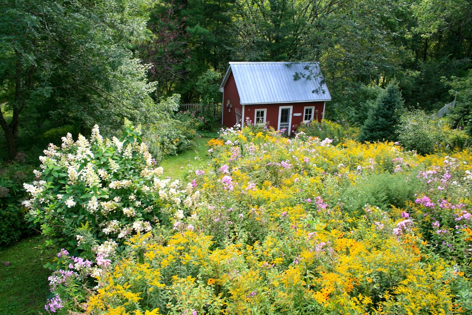 Back Gardens