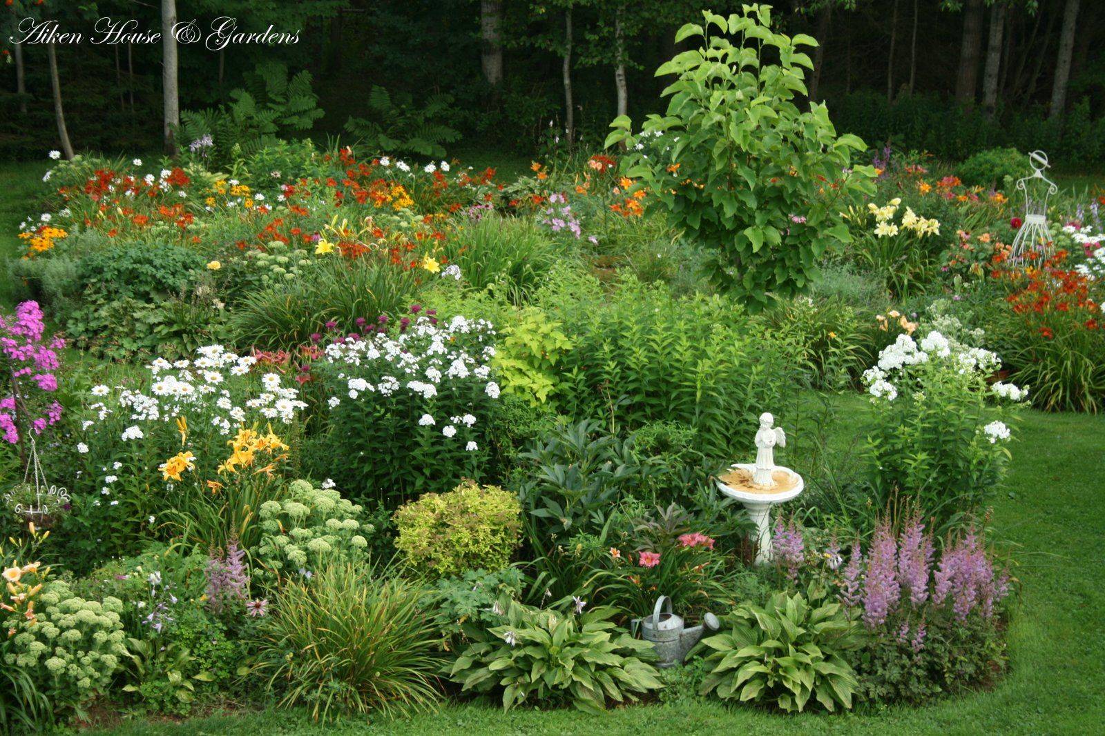 The Garden