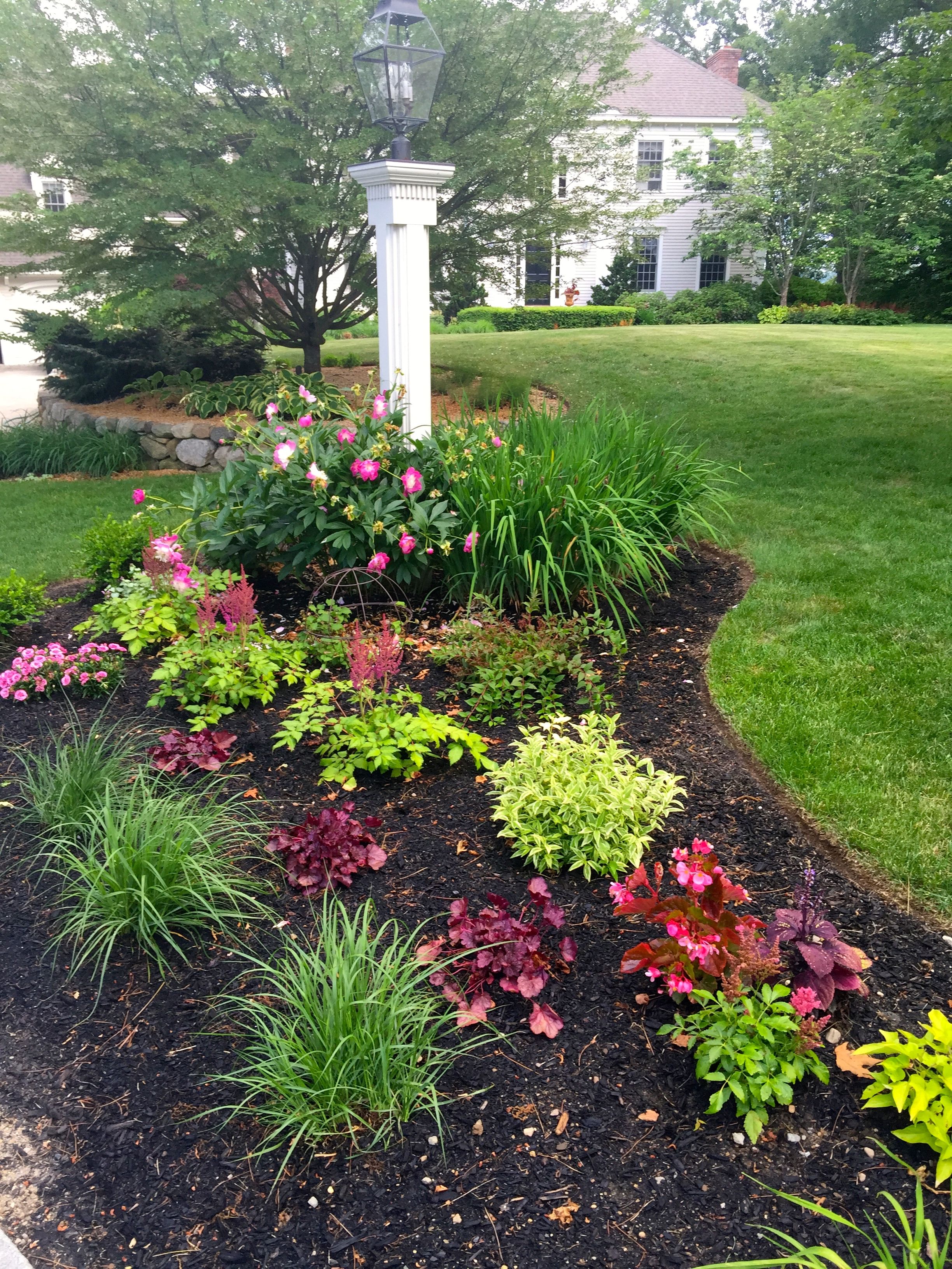 Front Garden Entrance Ideas Hawk Haven