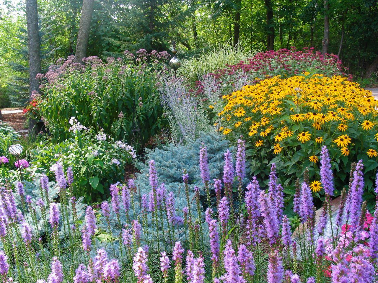 Small Perennial Garden Ideas