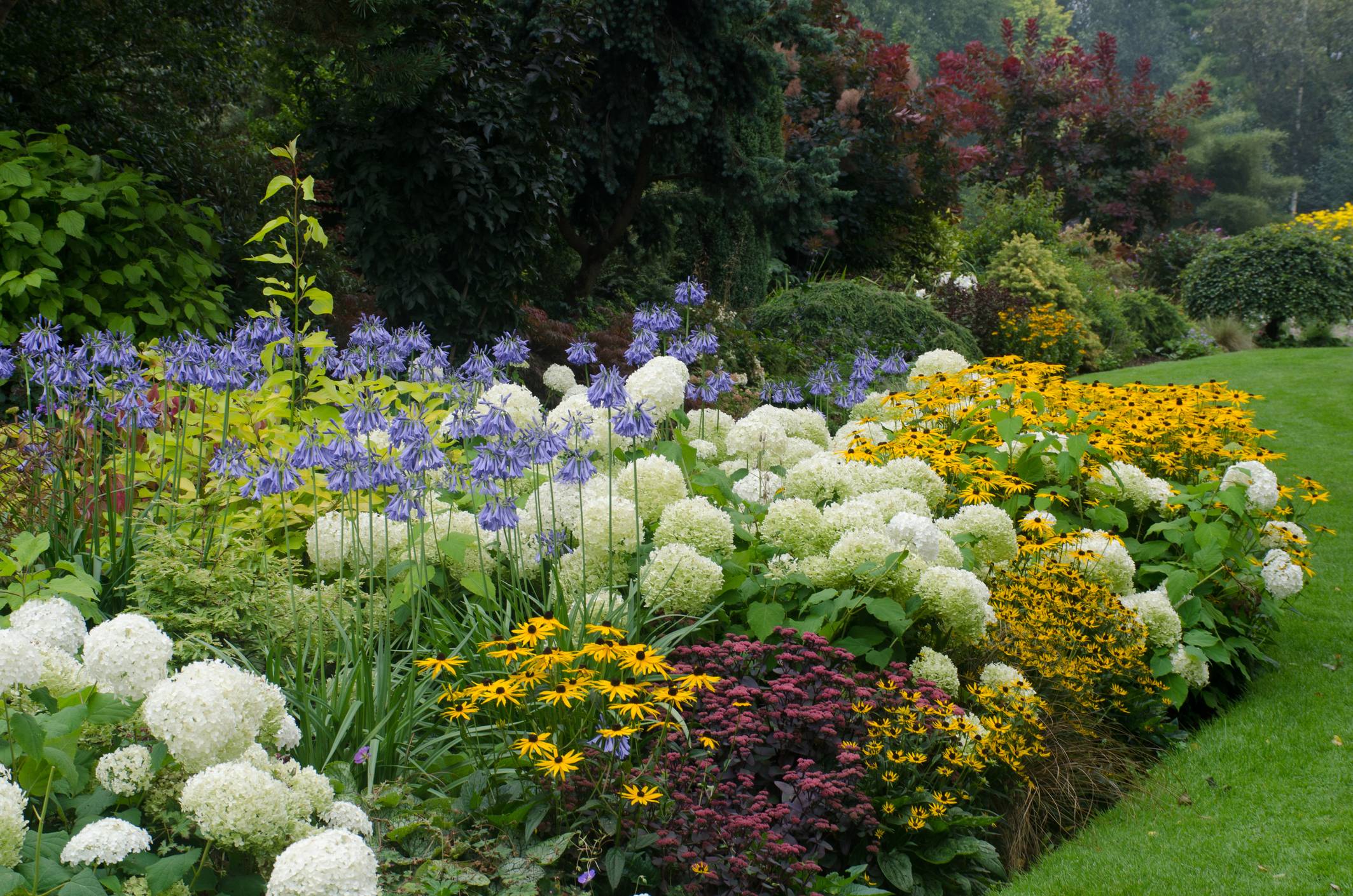 Shade Garden Ideas Ontario