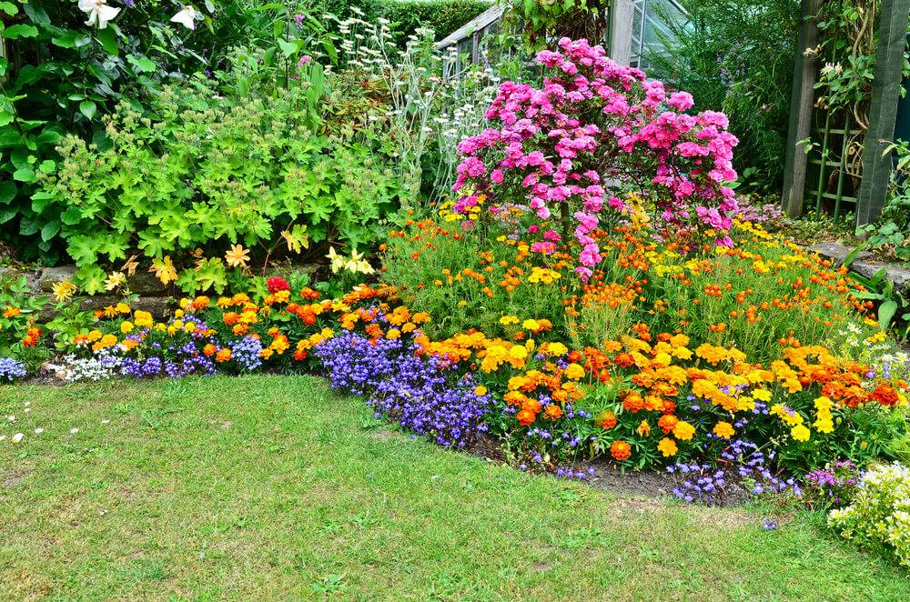 Small Perennial Garden Designs