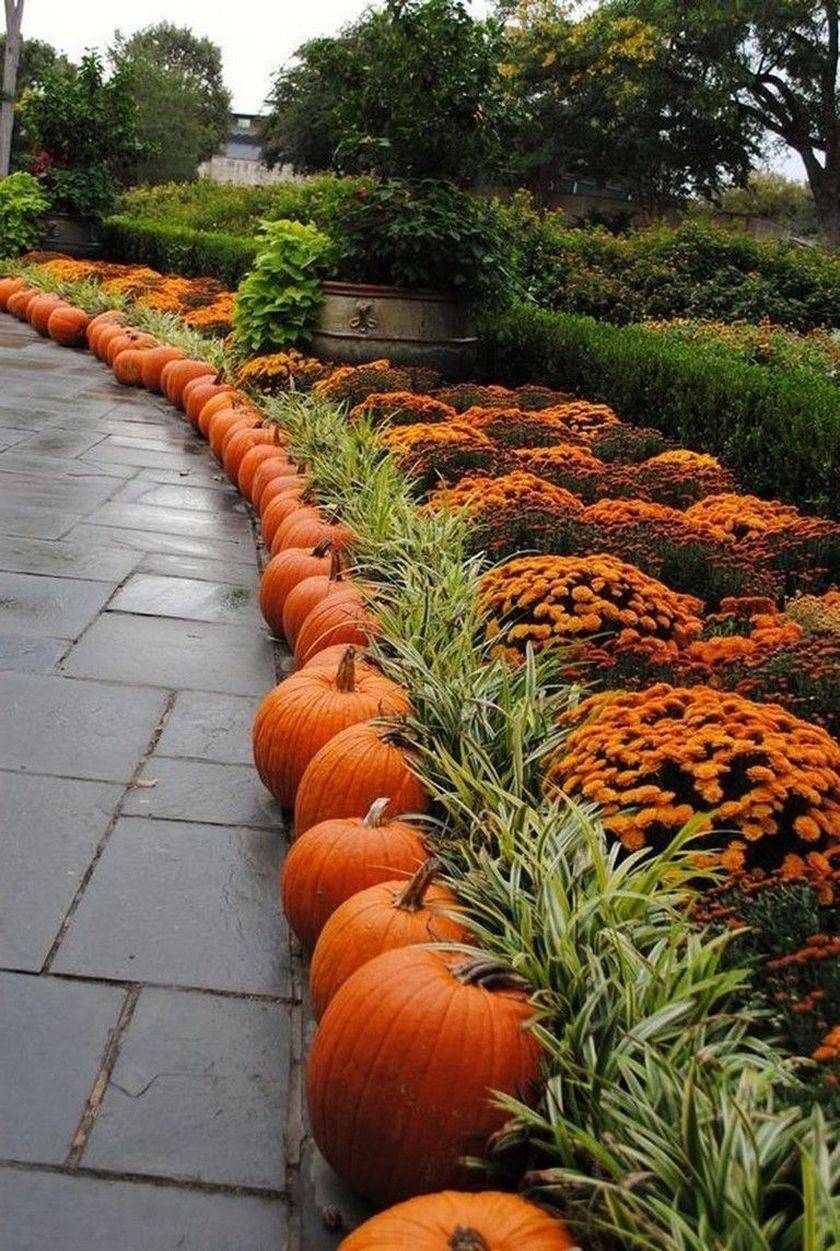 Easy But Creative Fall Garden Design Ideas
