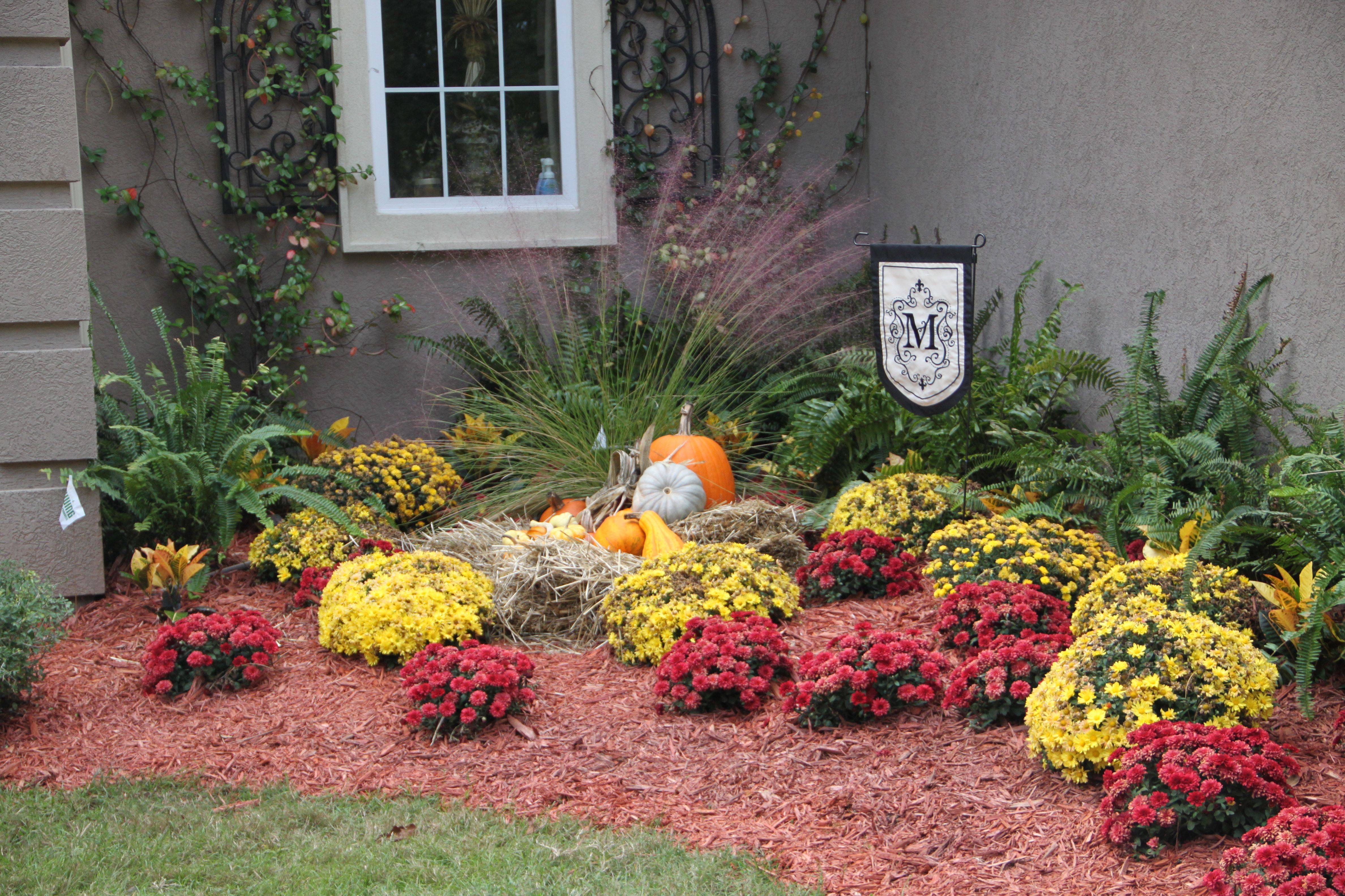 Planting Fall Garden Flowers