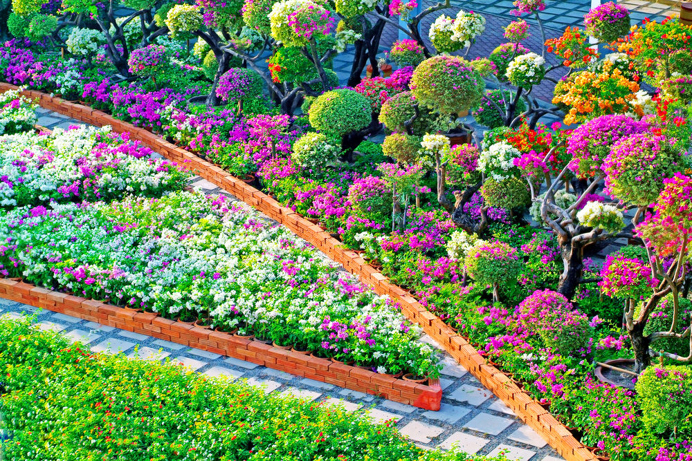 Colorful Garden Pictures
