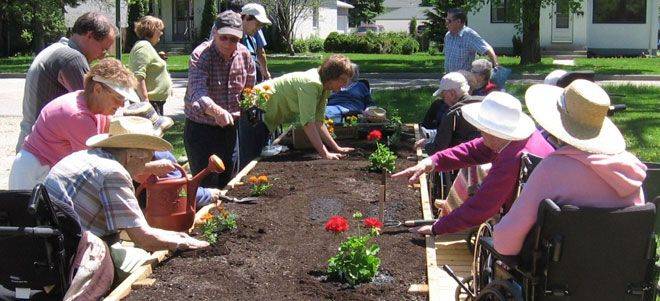Group Colorful Planters