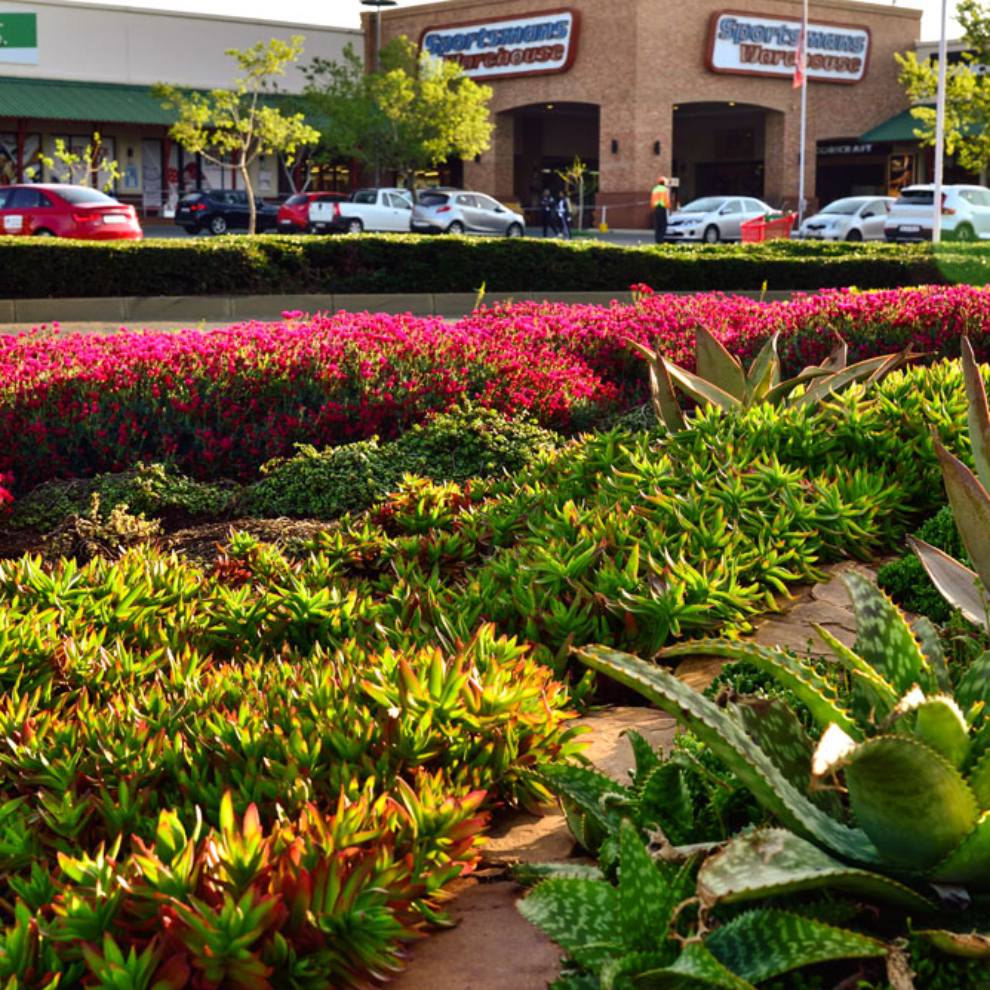 Our Residential Projects Landscape Denver