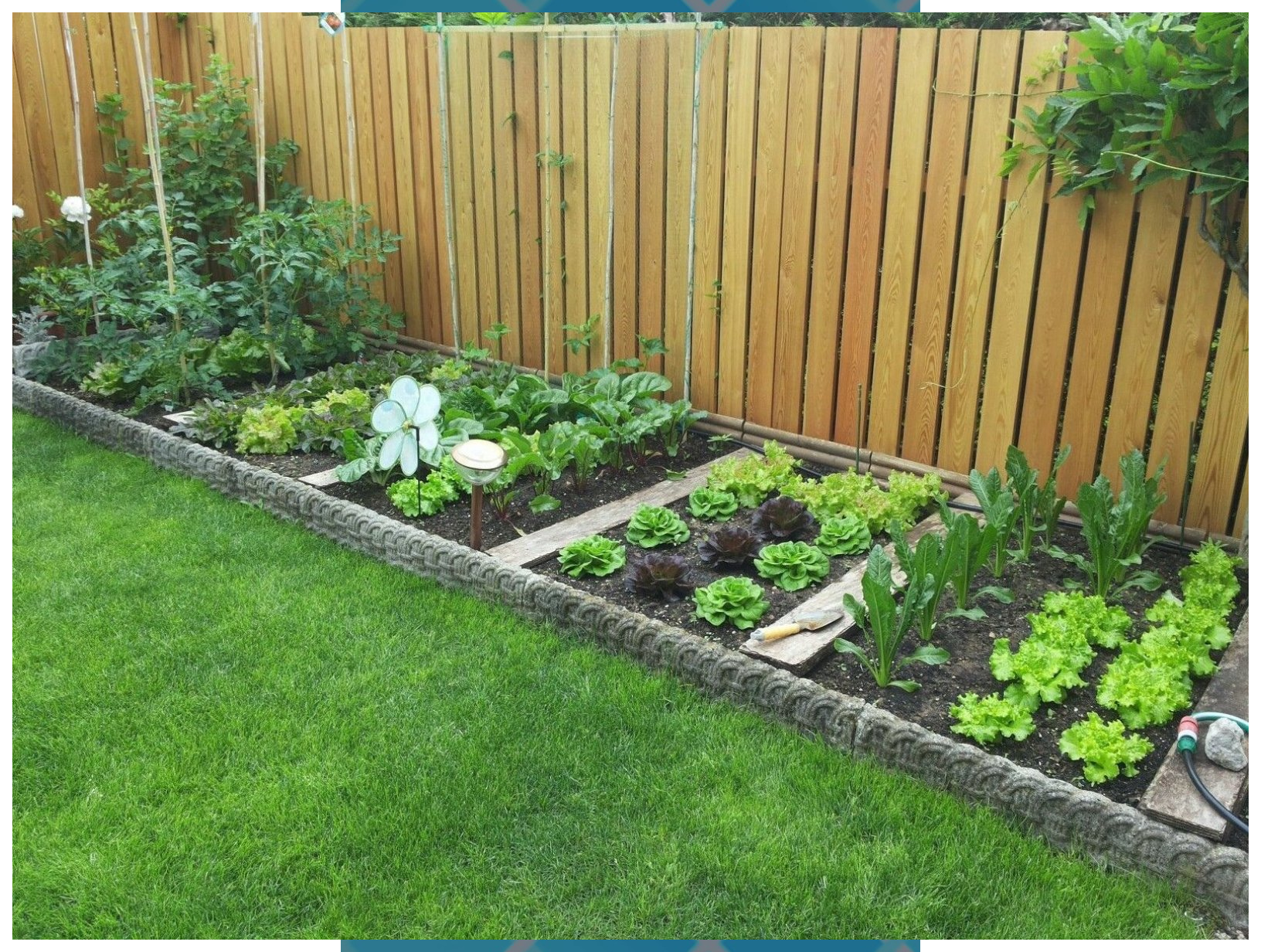 A Therapeutic Garden