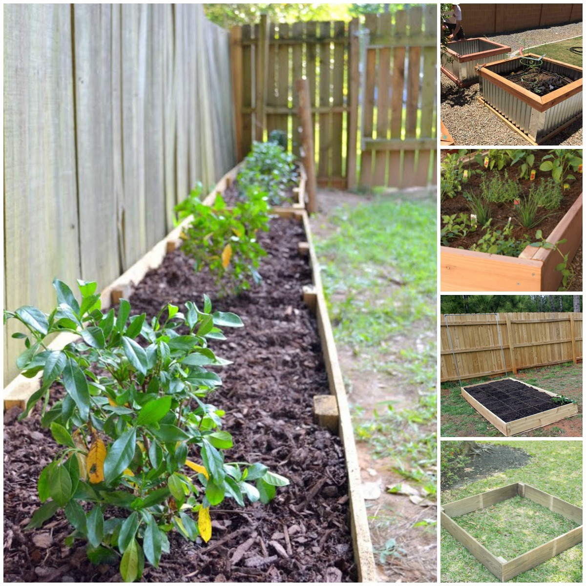 Diy Garden Bed Edging Ideas Page