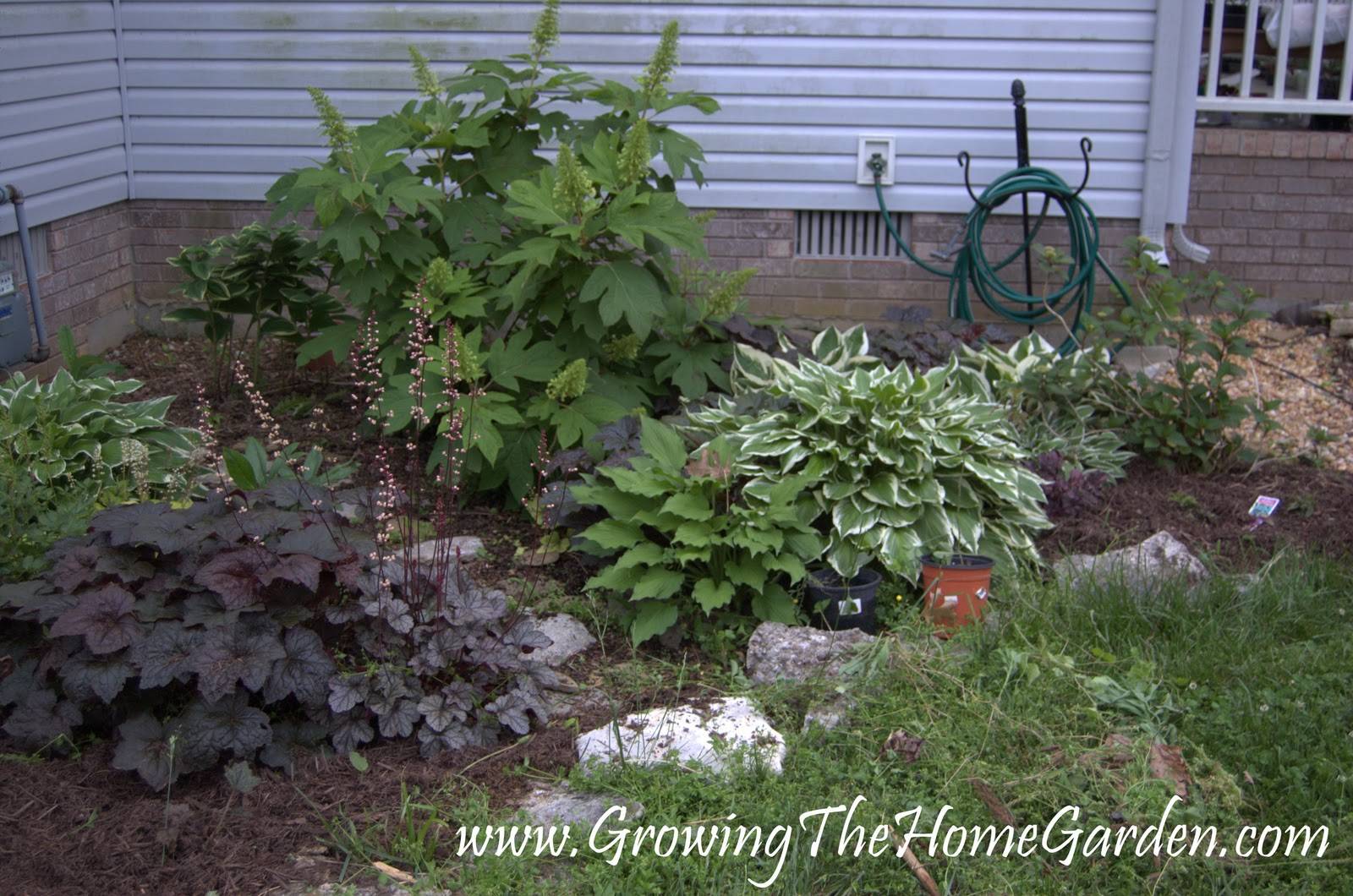 Shady Corner Landscaping Ideas