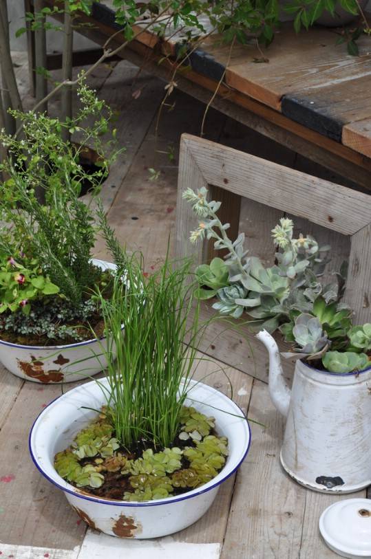 Charming And Cheap Mini Water Garden Ideas