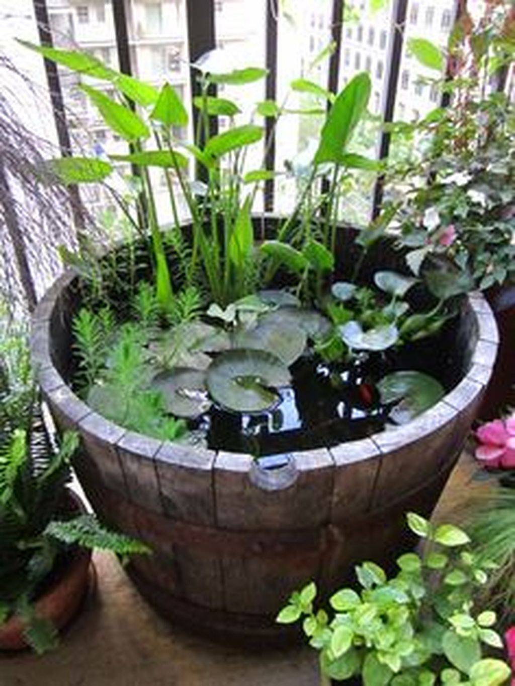Charming And Cheap Mini Water Garden Ideas