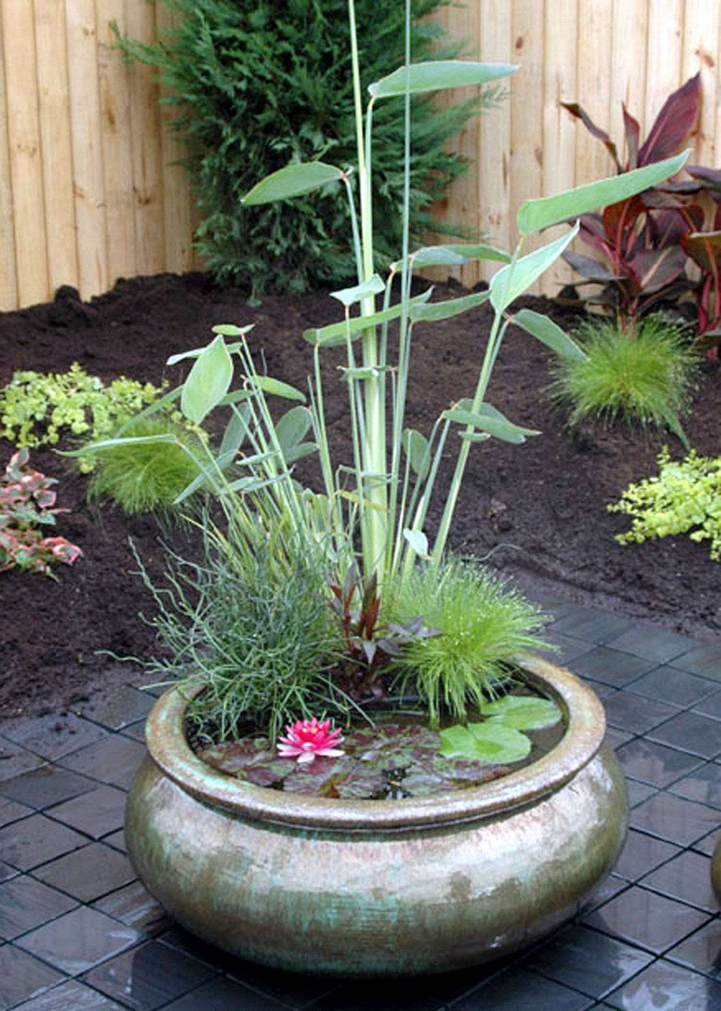 Simple Beautiful Small Pond And Water Garden