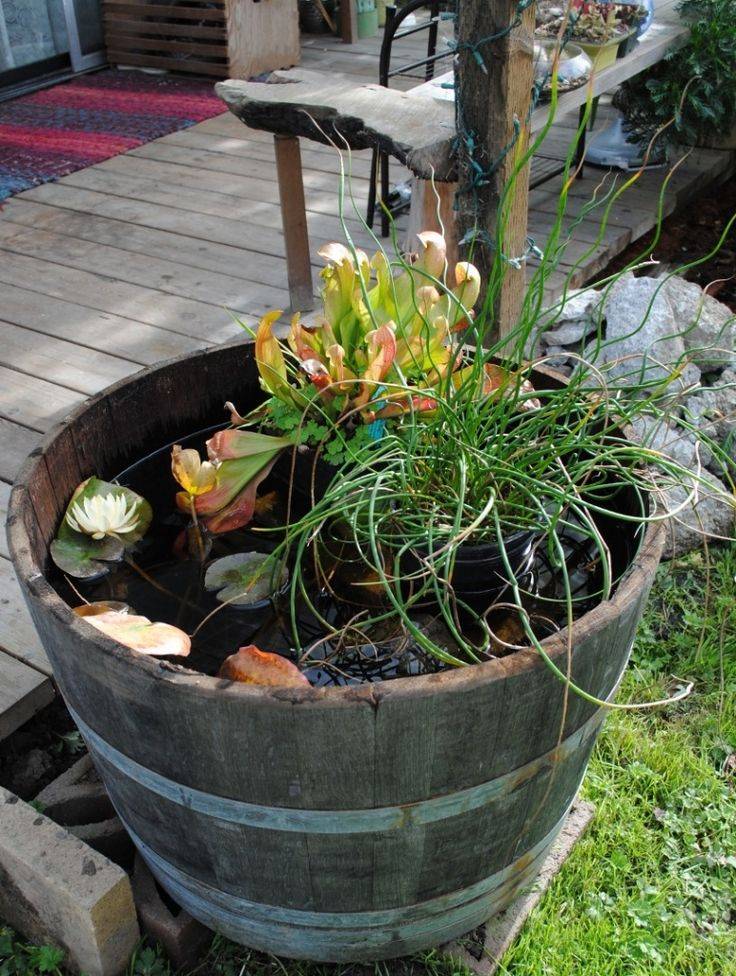 Decoomo Trends Home Decoration Ideas Ponds