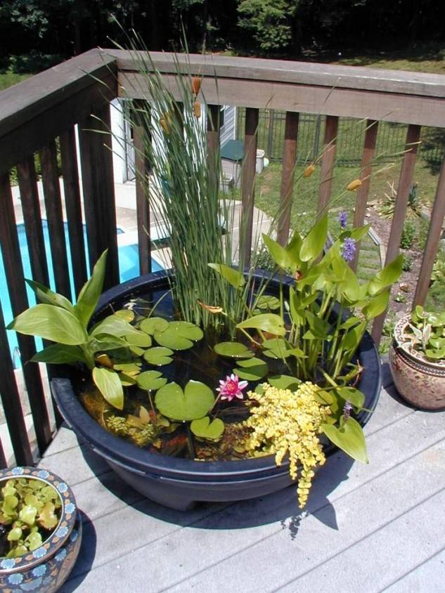 Mini Pond Ideas