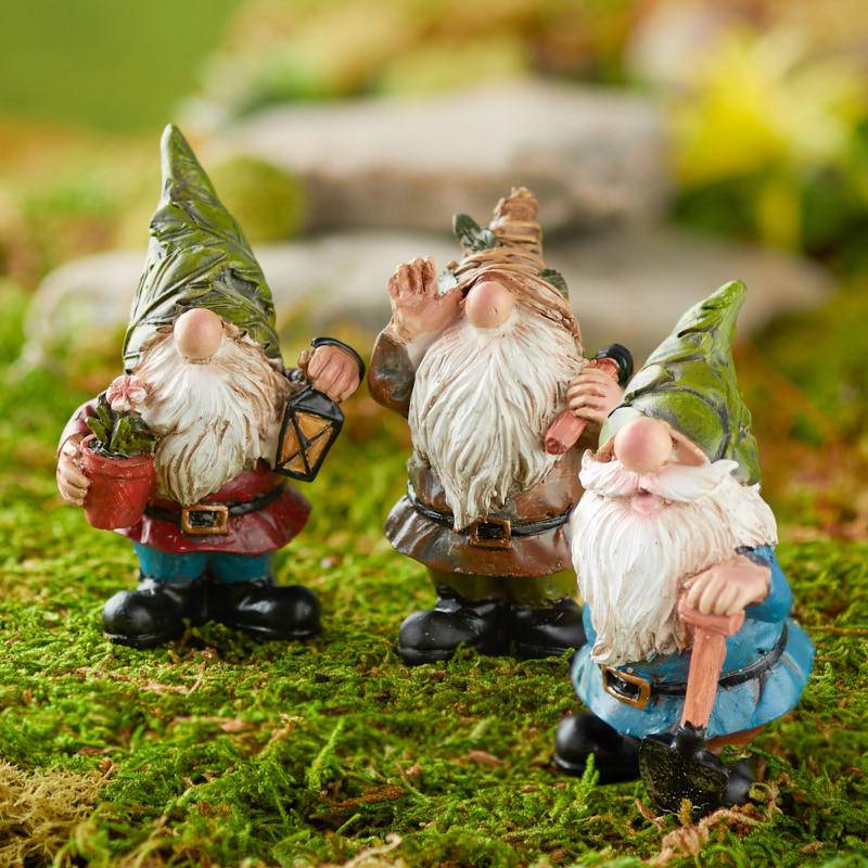 Gnome Homes