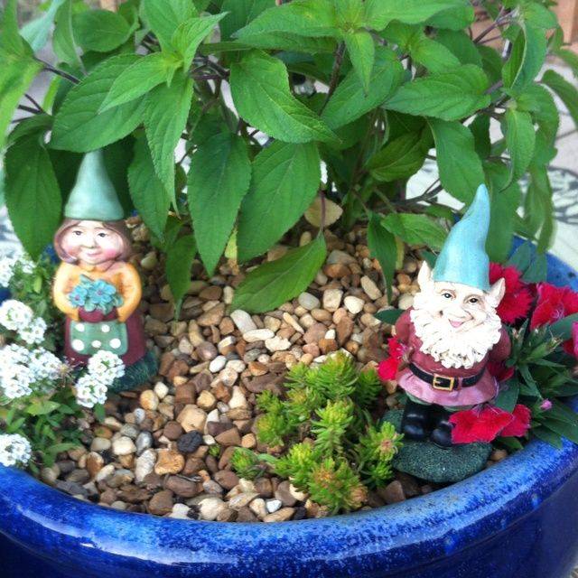 The Best Diy Miniature Fairy Garden Ideas