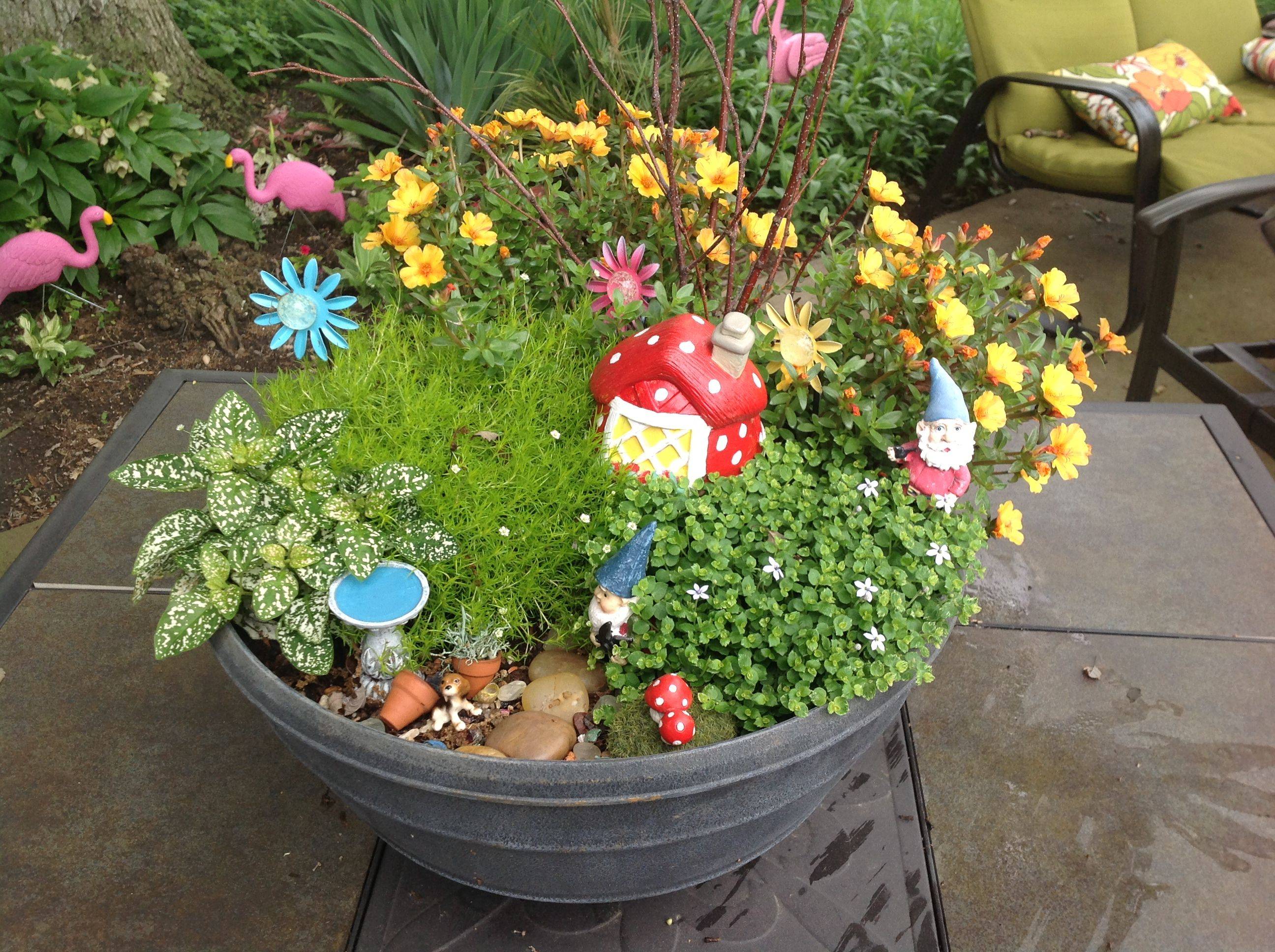 Fairy Garden Designs