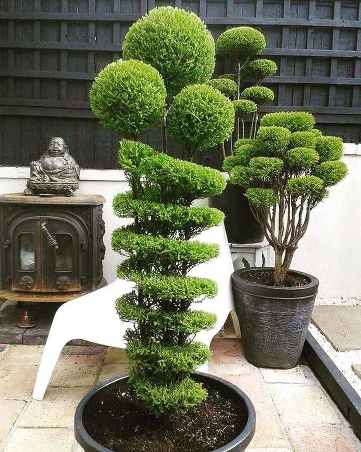 Outdoor Decor