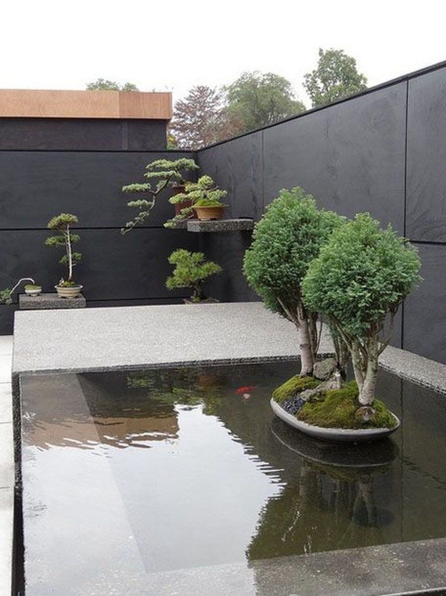 Double Bonsai Tree Garden Bonsai Tree