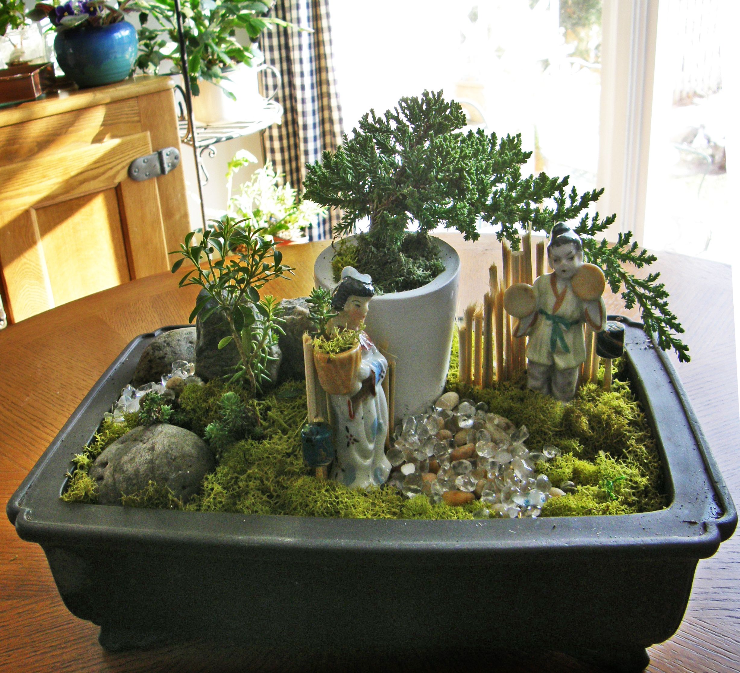 My Small Bonsai Garden Bonsai Garden