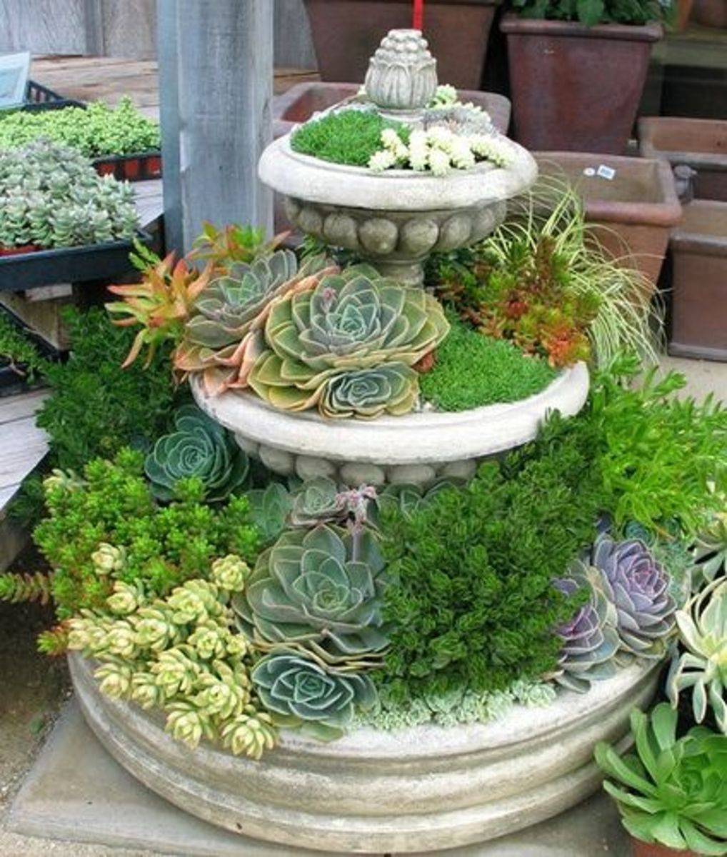 Mini Garden Ideas