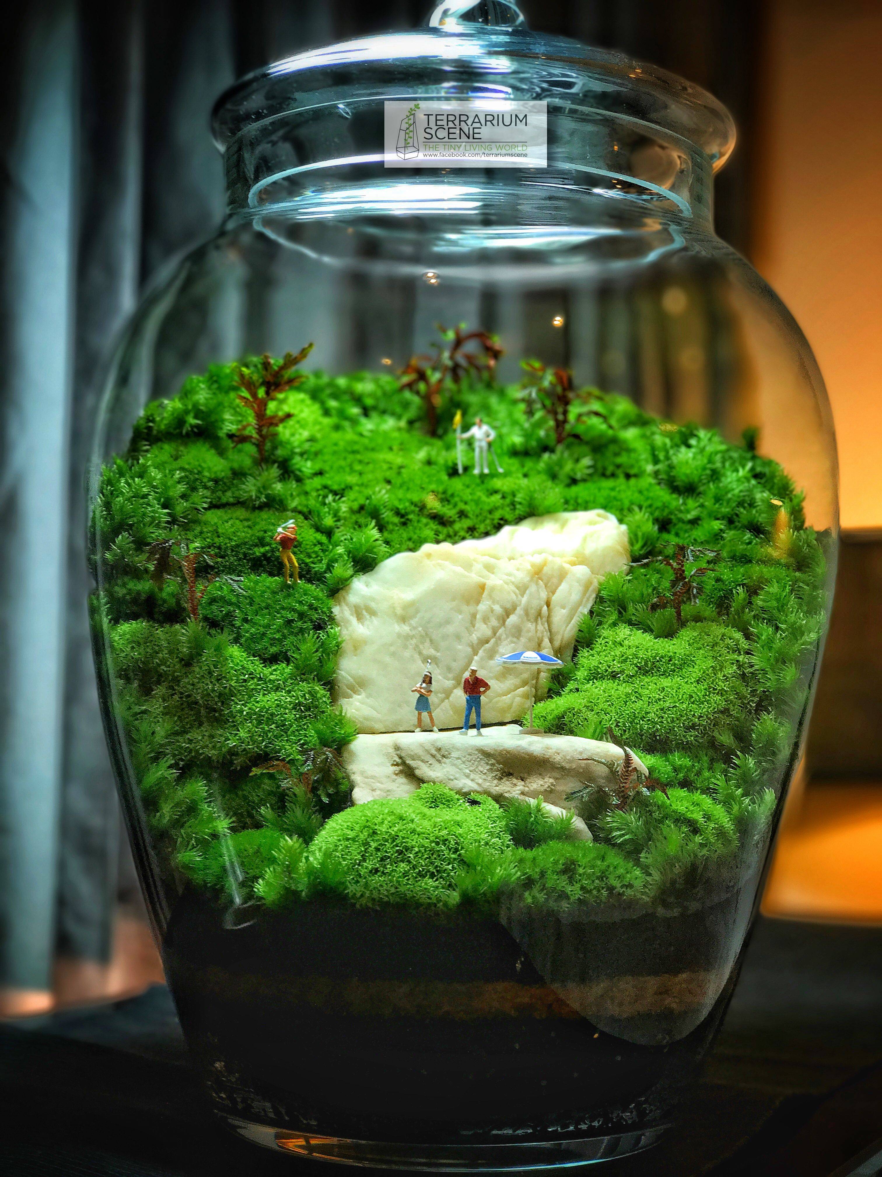 Wonderful Indoor Garden Designs