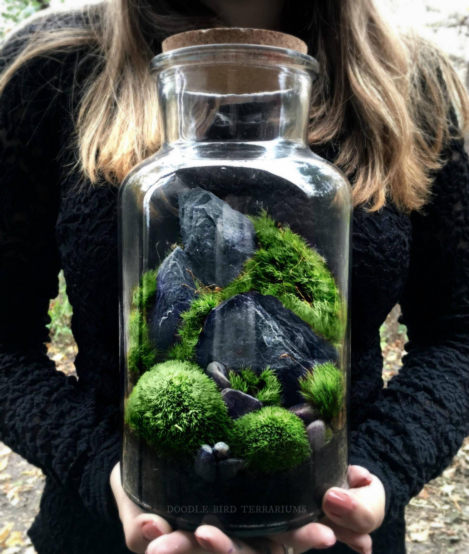 Inspiring Bonsai Terrarium Jars Design Ideas