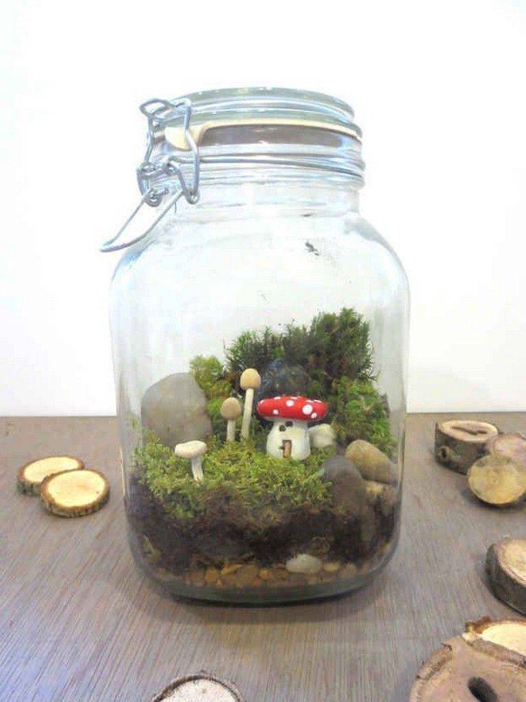 Projects Gardening Viral