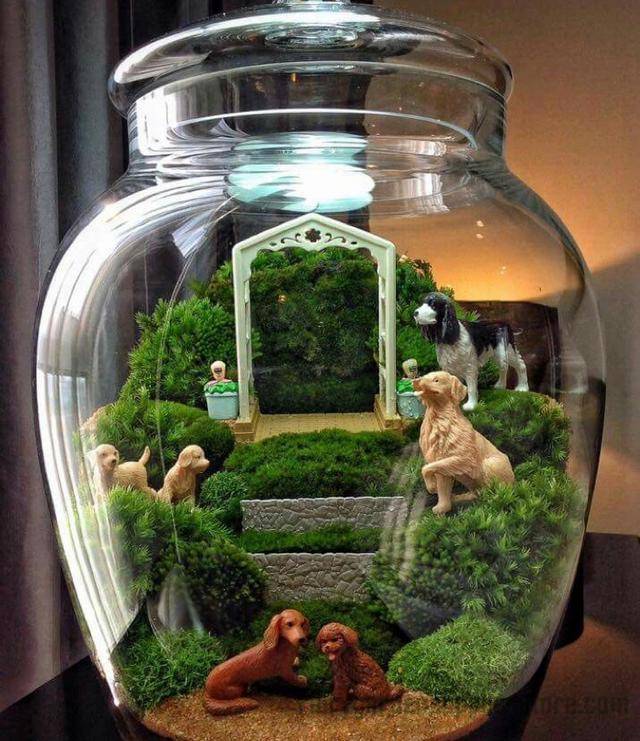 Diy Fairy Garden Terrarium Kits Ideas Fairygardensuppliesstorecom