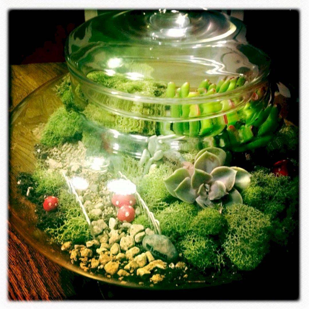 Terrarium Indoor Garden