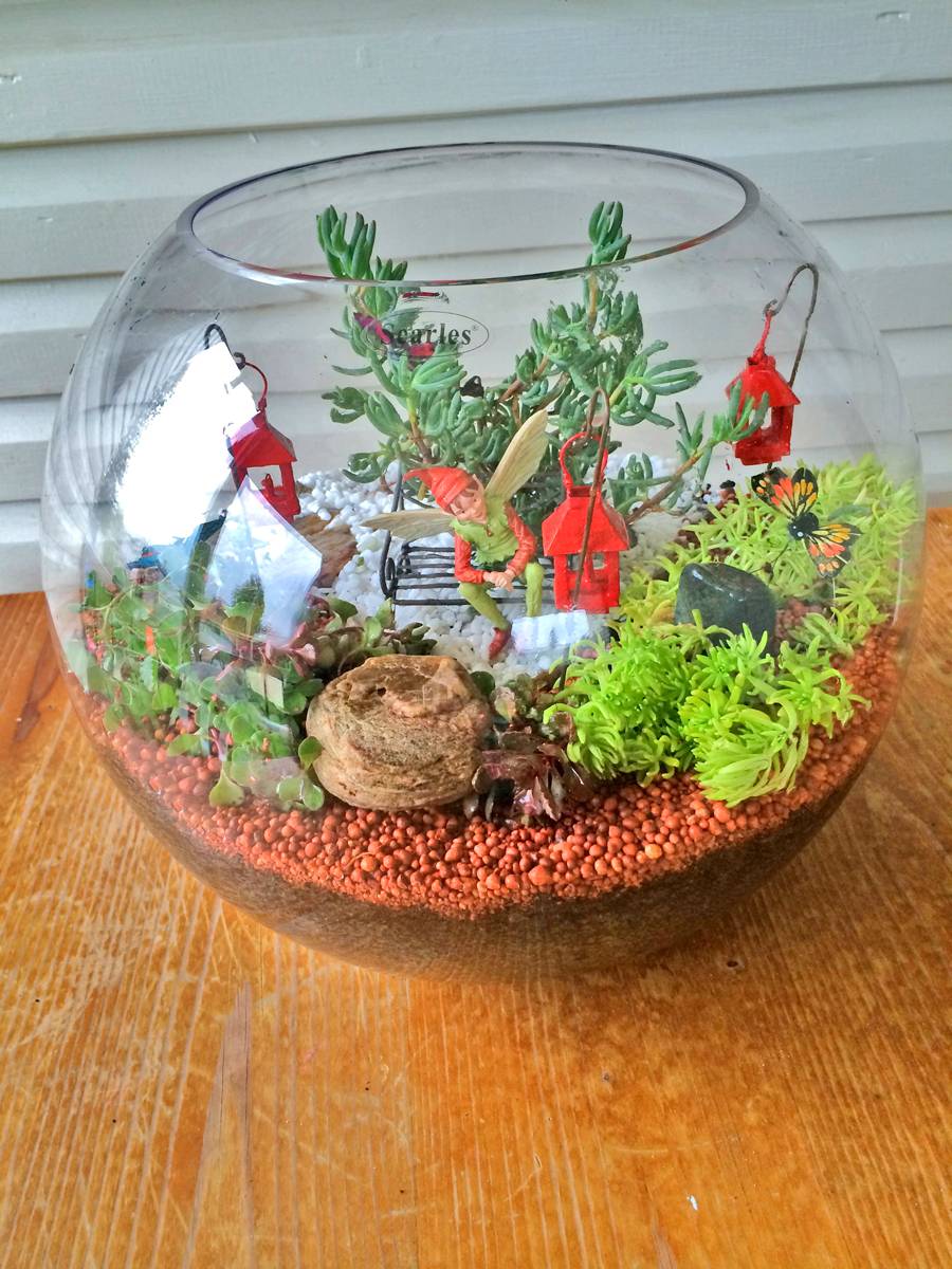 Garden Terrarium Dreamsofmylifes
