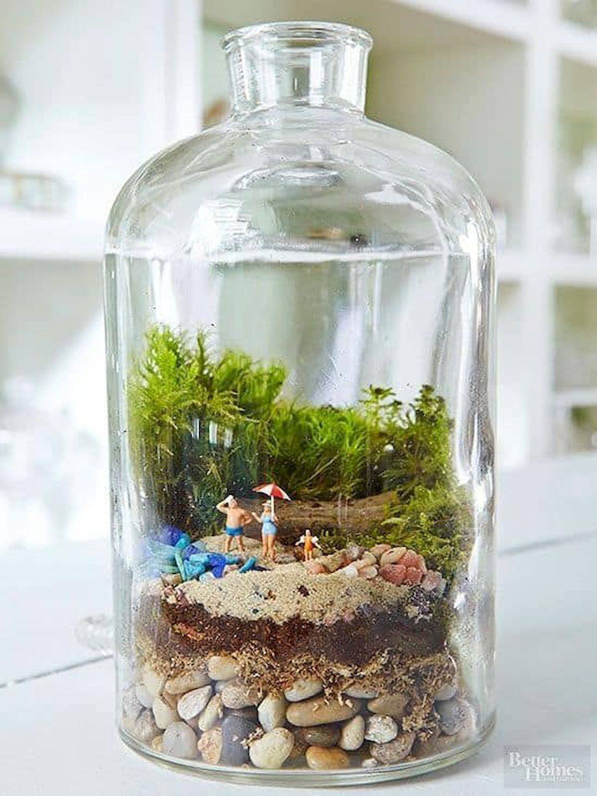 Magical Diy Succulent Fairy Garden Ideas