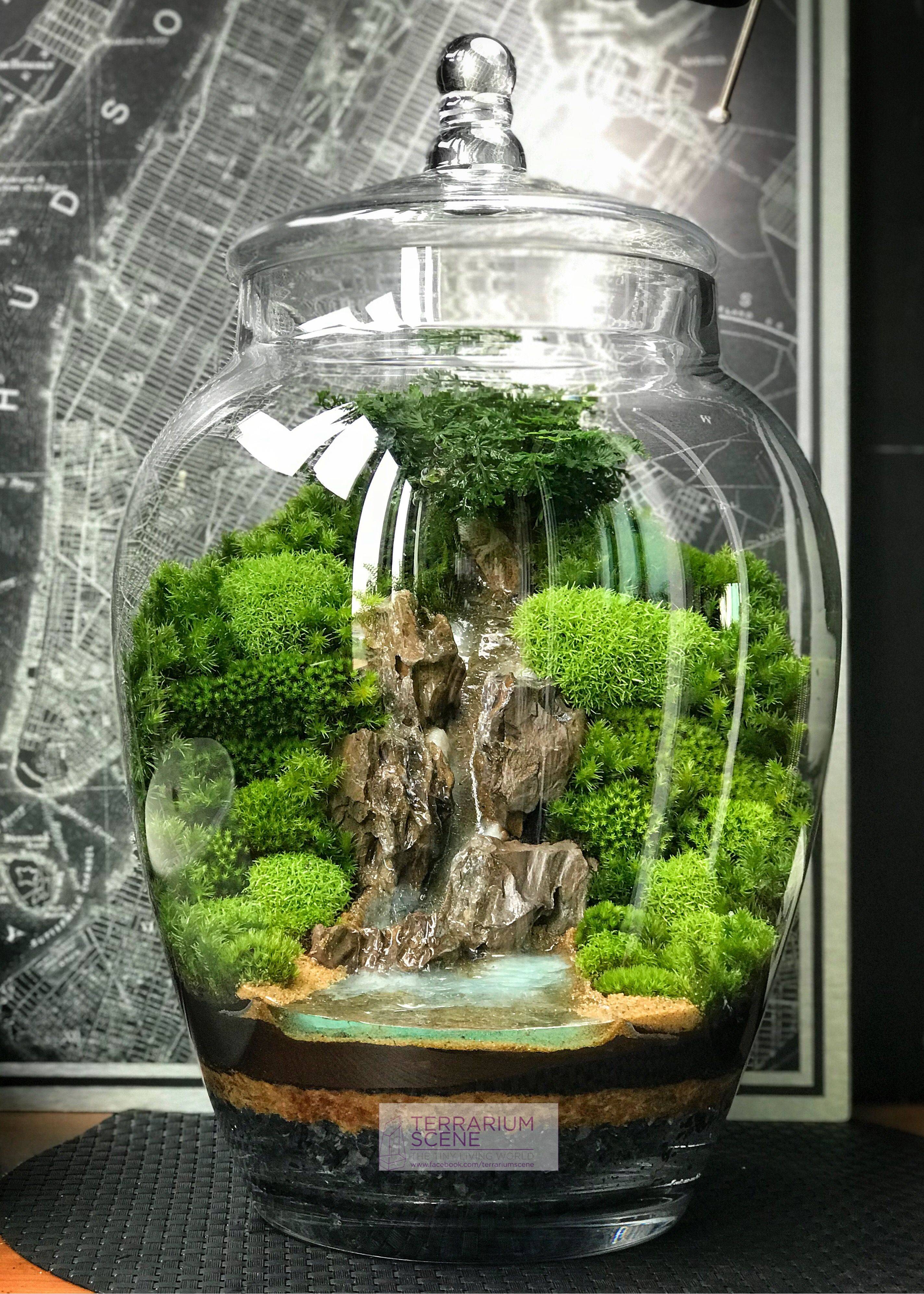 Terrarium Scene