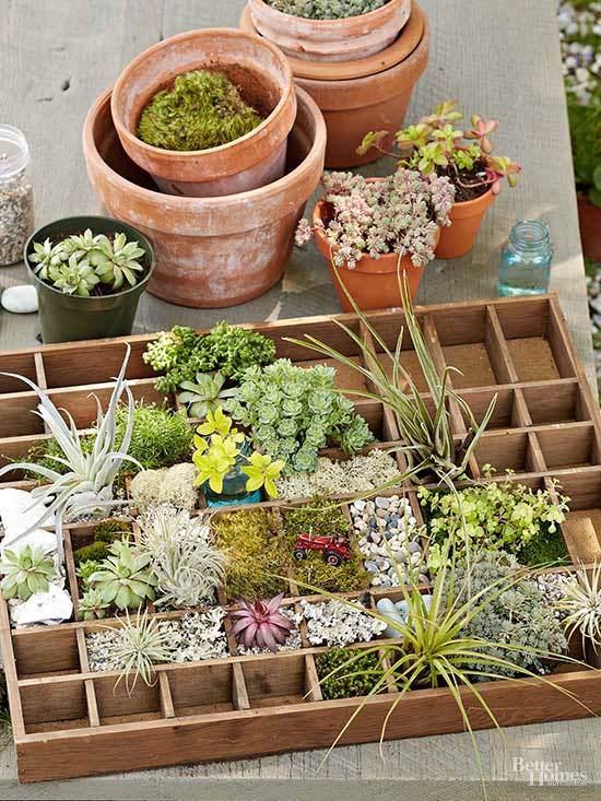 Best Fairy Garden Ideas