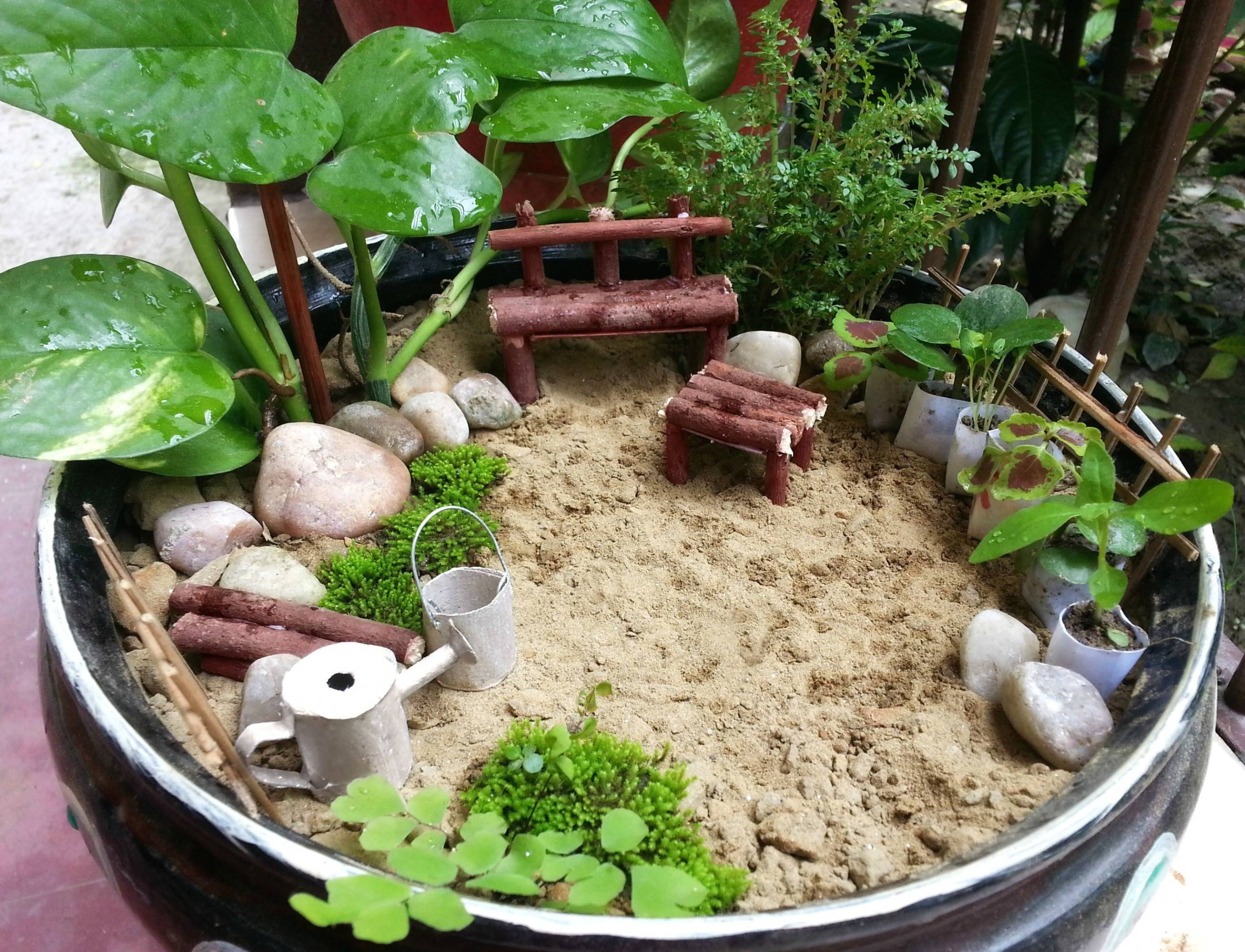 Amazing And Best Diy Fairy Garden Ideas