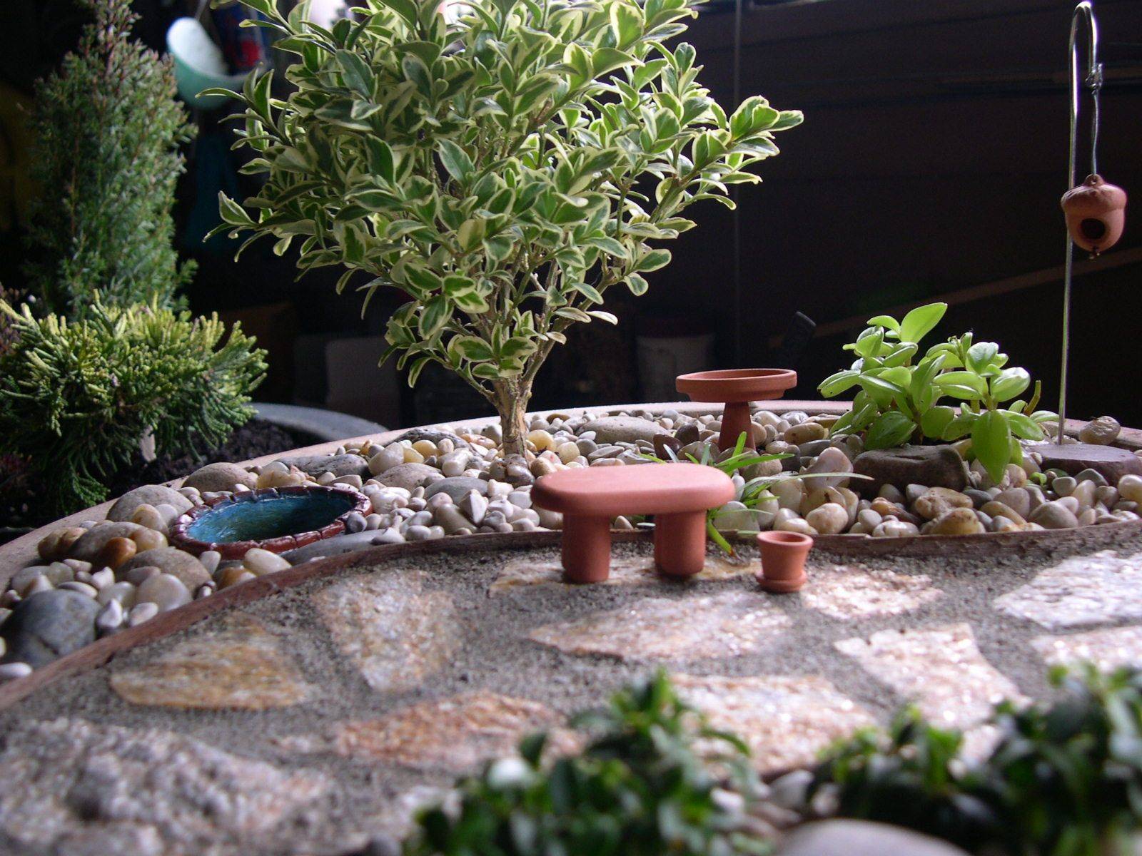 Miniature Terrarium Gardens