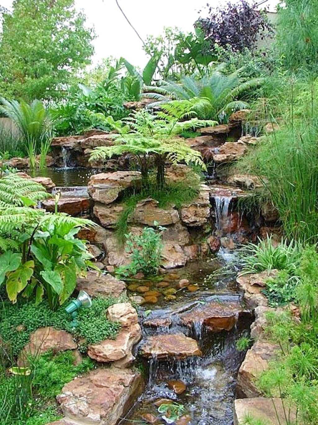 Impressive Backyard Ponds