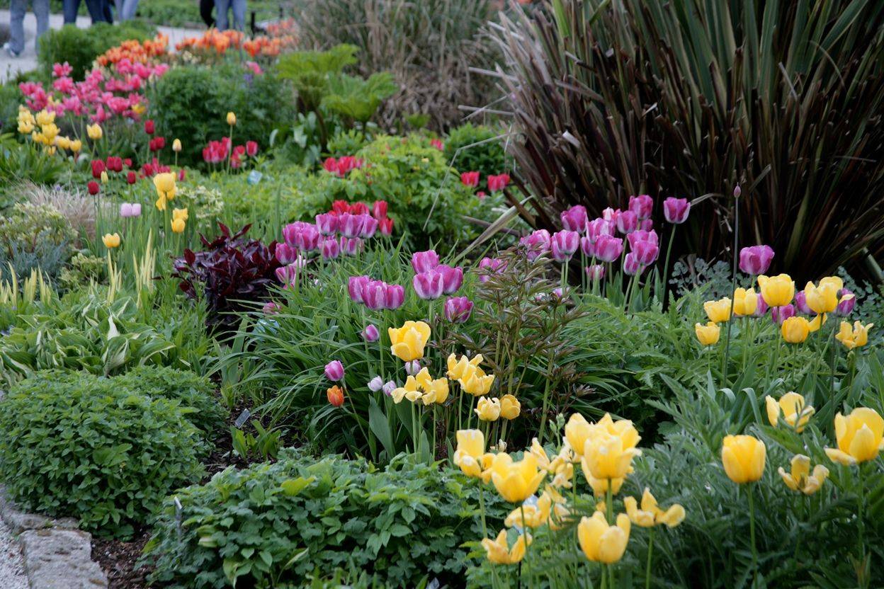 Flower Border