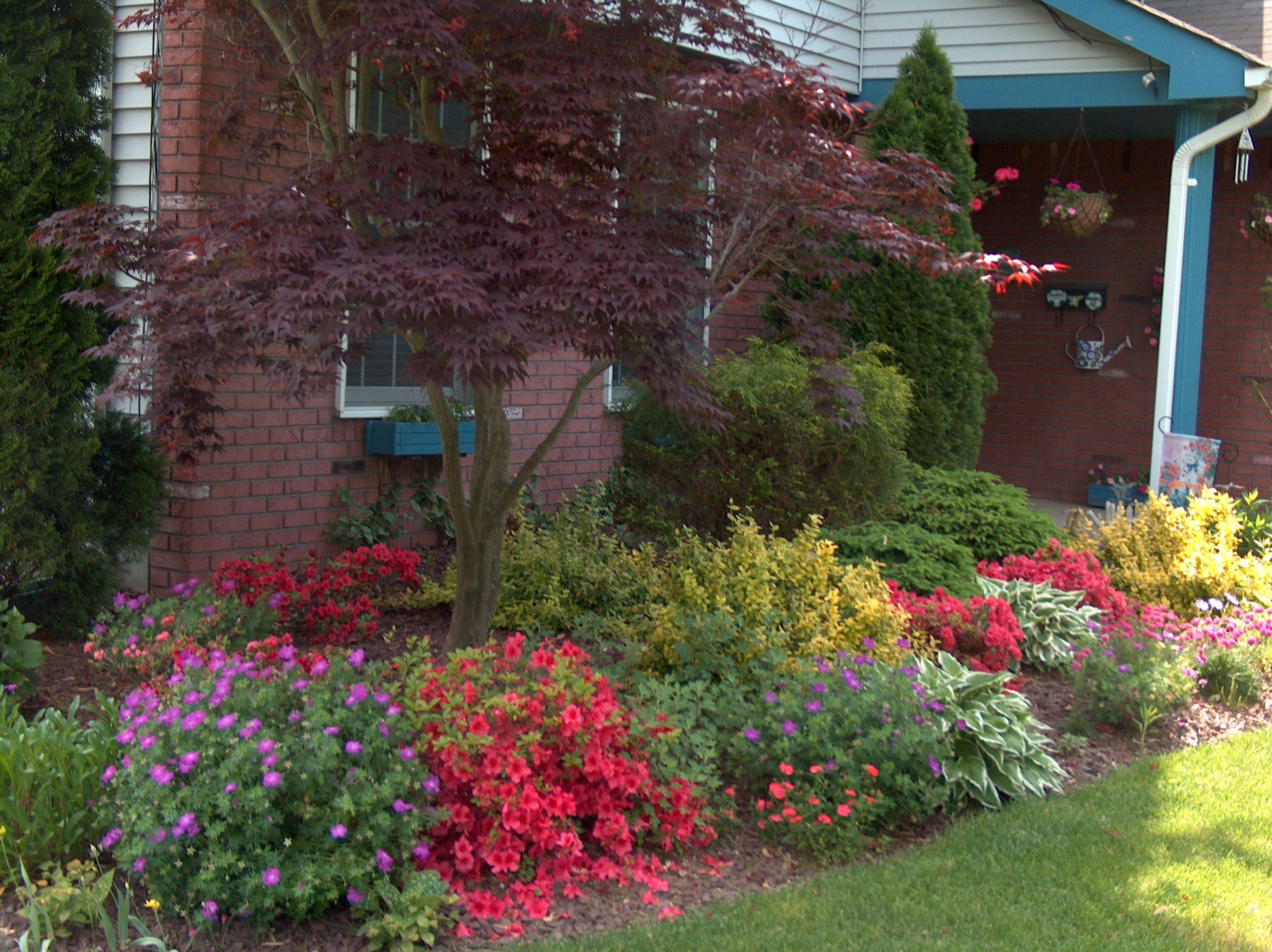 Amazing Diy Garden Path And Walkways Ideas Home Designs Cottage