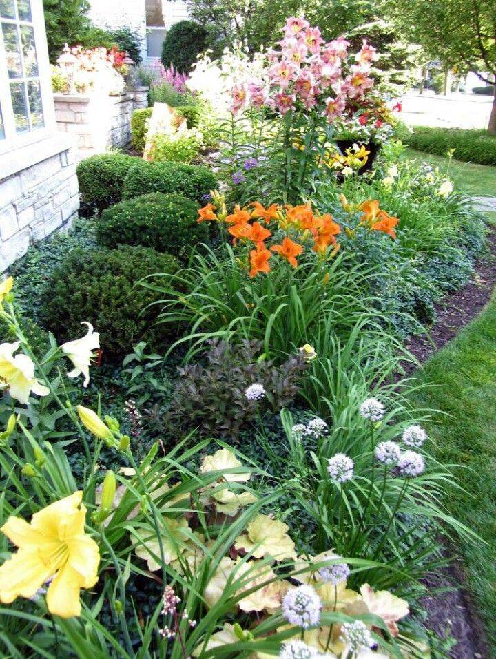 Beautiful Moss Rock Borders