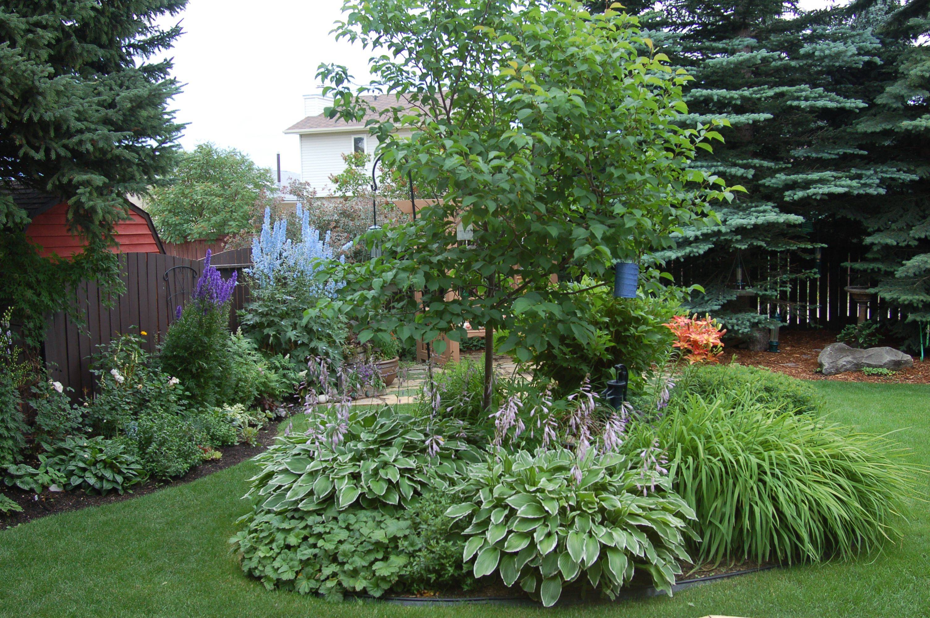 Astonishing Garden Islands