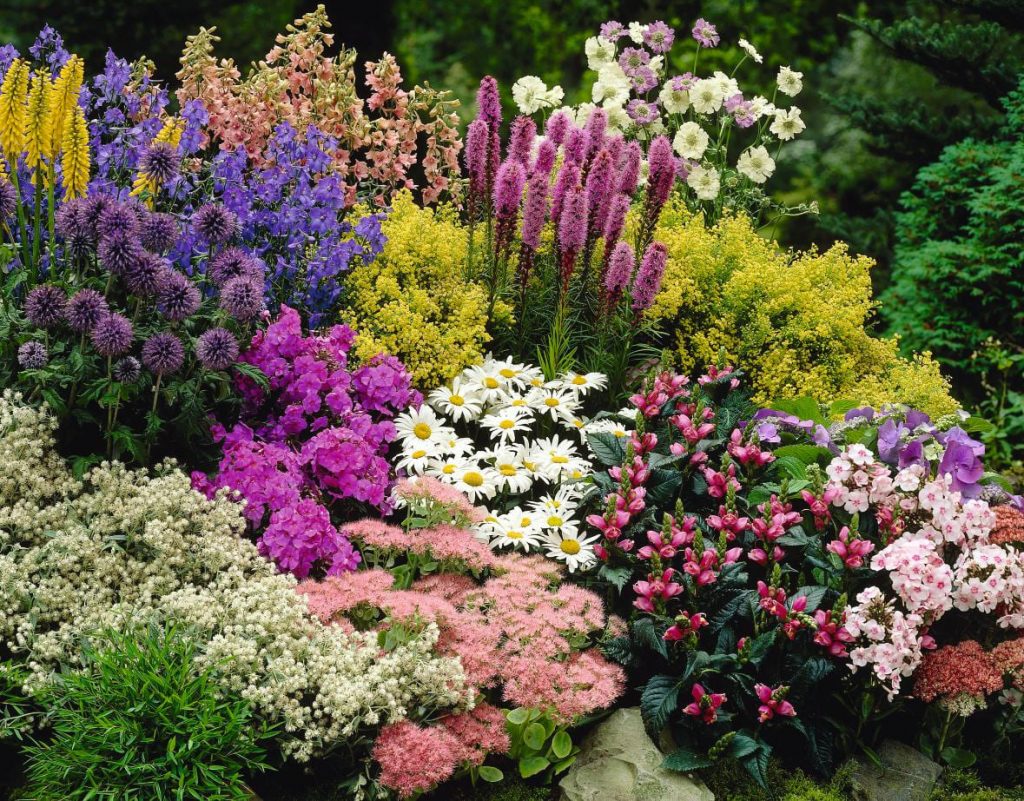 Amazing Flower Garden Ideas Style Motivation