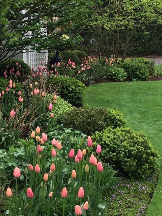 Stunning Spring Garden Ideas