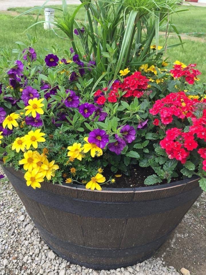 Pinterest Flower Beds